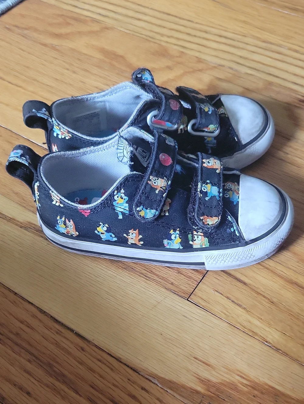 Converse bluey sneakers
